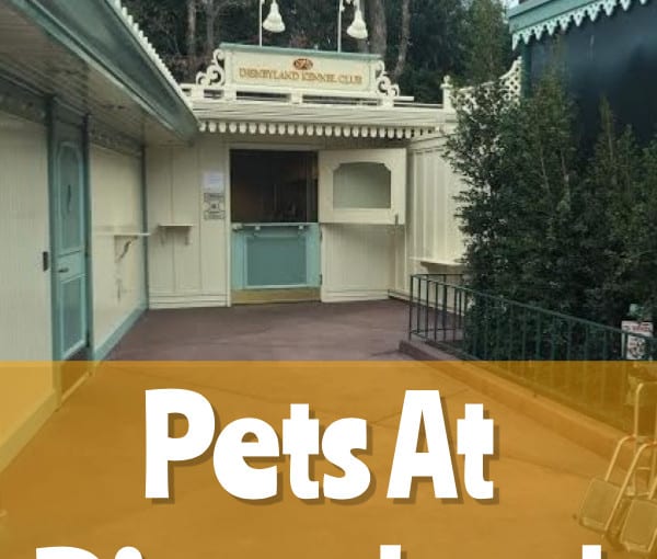 Pets at Disneyland The Happiest Blog on Earth