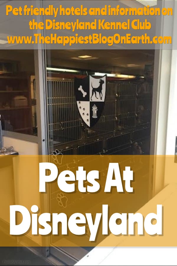 Pets at Disneyland. Practical advice for bringing your pet along to Disneyland. 