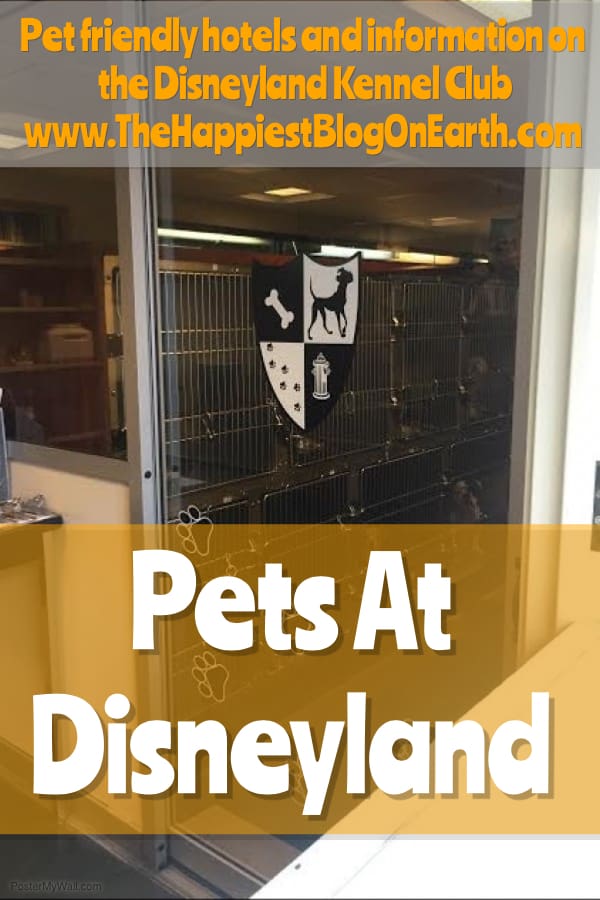 Disneyland dog hot sale boarding