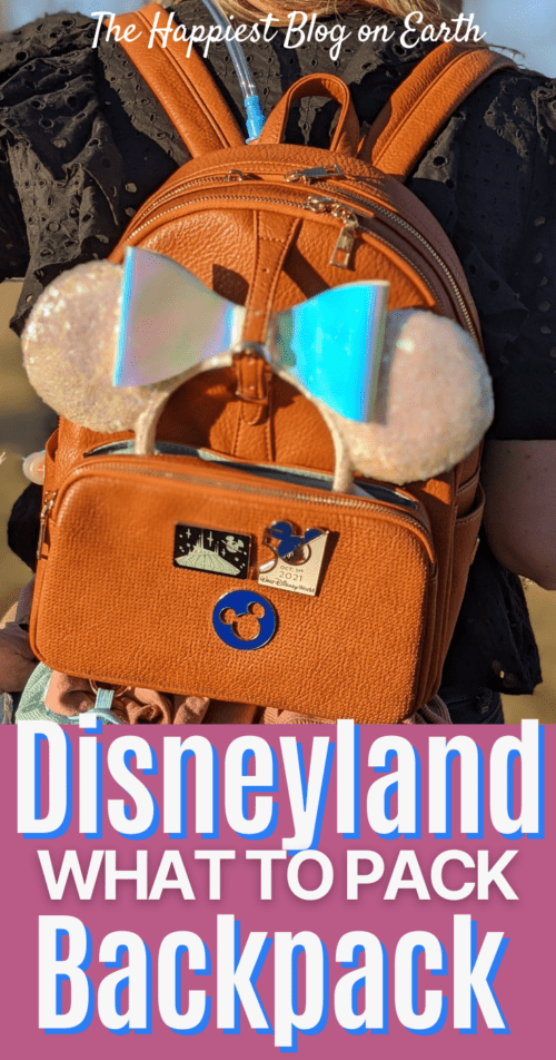 What to Pack Disneyland Backpack