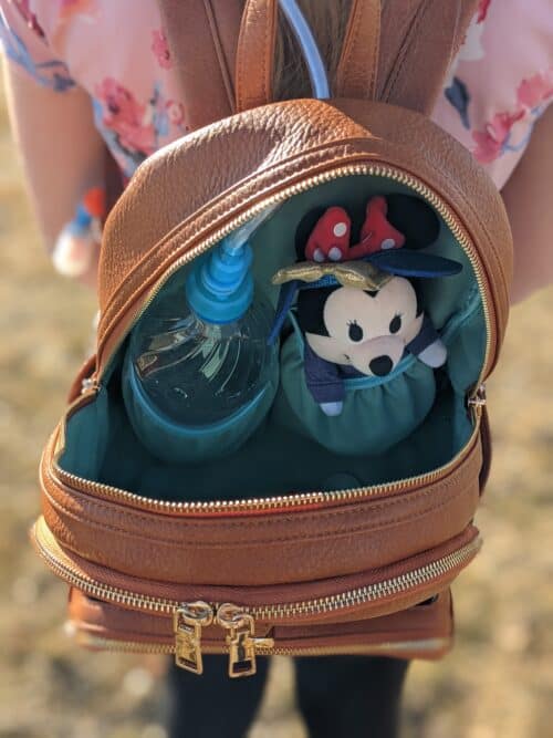 inside Disneyland backpack