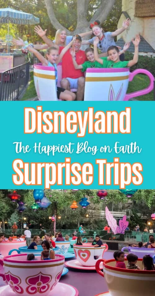 Disneyland Surprise Trips Disneyland Surprise Trips