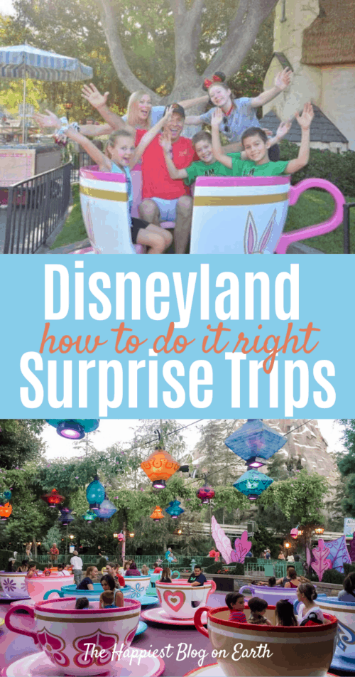 Disneyland surprise trip