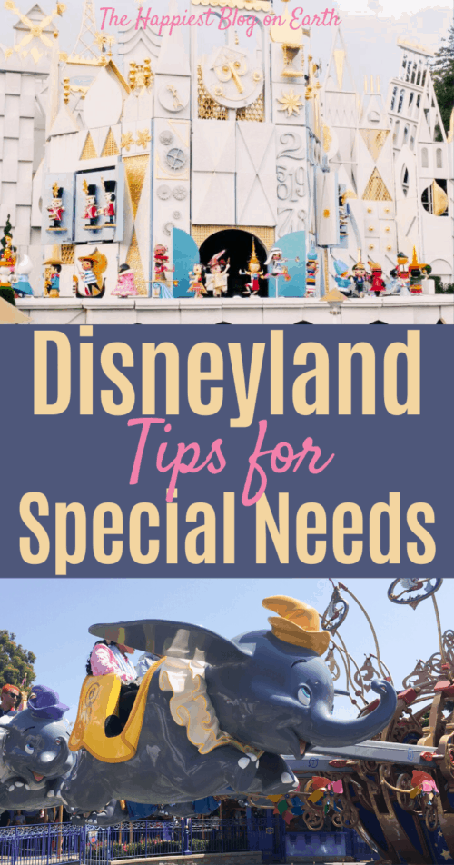 Disneyland special needs