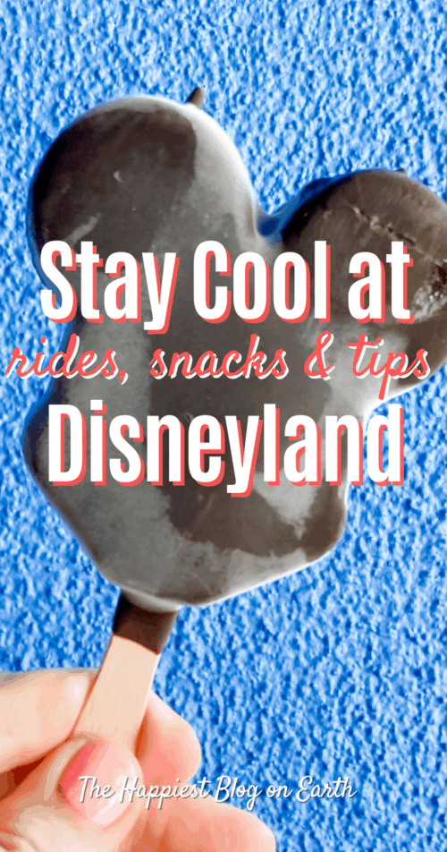 Stay Cool at Disneyland