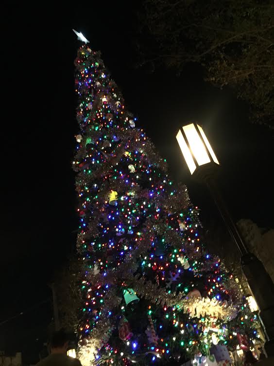 Christmas Tree California Adventure