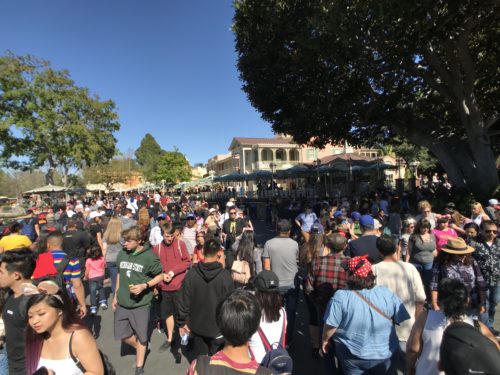 Disneyland Crowds