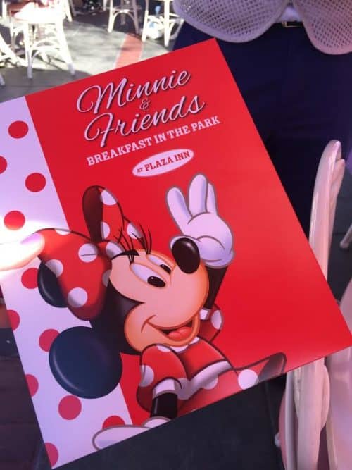 Minnie & Friends character dining photo book