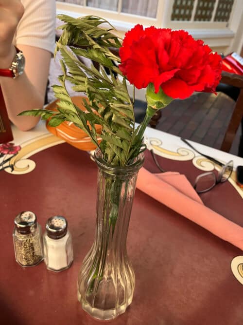 Carnation Cafe flowers Disneyland Carnation Cafe flowers Disneyland