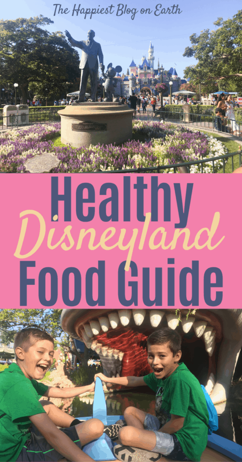 Healthy Disneyland food