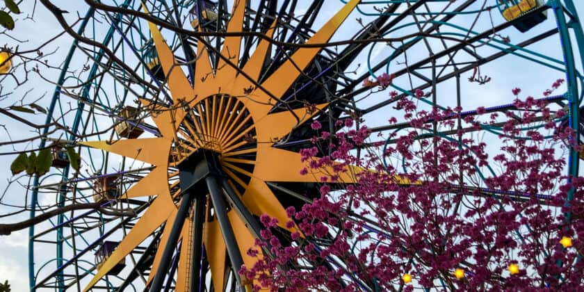 Disneyland Hopper Tickets vs One Park Per Day