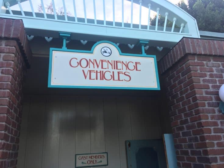 Disneyland in a Wheelchair The Happiest Blog on Earth