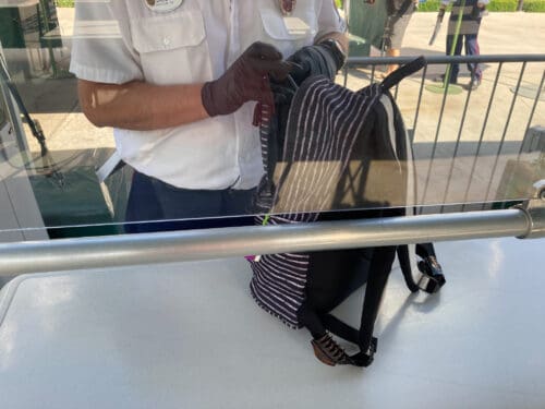 Disneyland security bag check