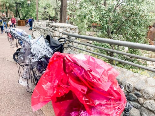 Disneyland rain stroller