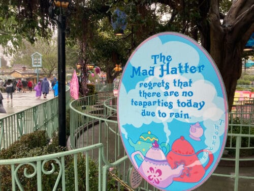 Rain Disneyland tea cups closed