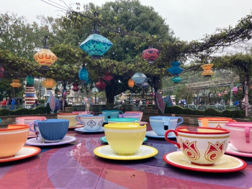 Rain Disneyland teacups