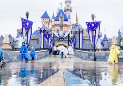 Rainy day Disneyland castle