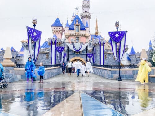 Rainy day Disneyland castle