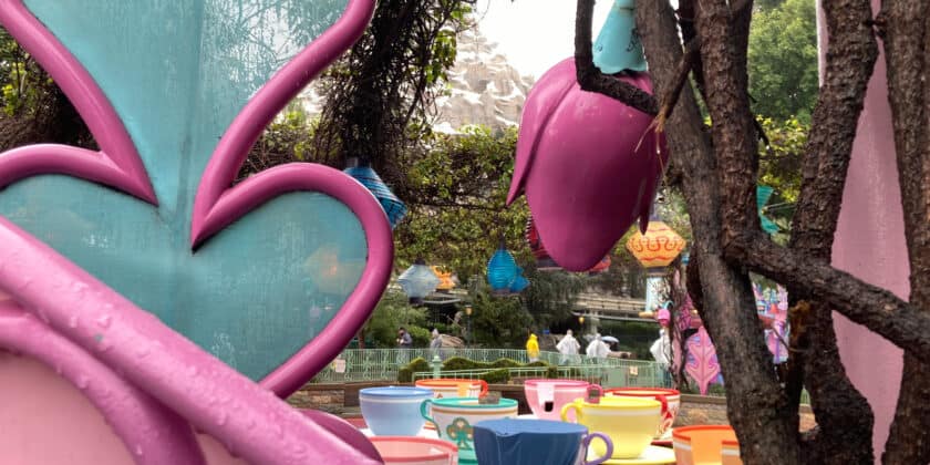 Surprise Disneyland Trip Fails and How To Do it Right