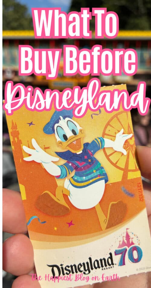 Things to Buy Before You Go To Disneyland (1) Things to Buy Before You Go To Disneyland (1)