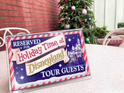 Holiday Time at Disneyland Tour