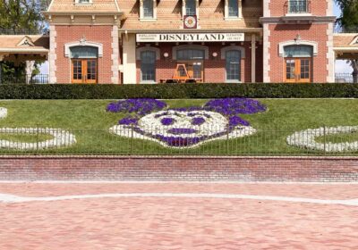 Disneyland entry Mickey Mouse floral