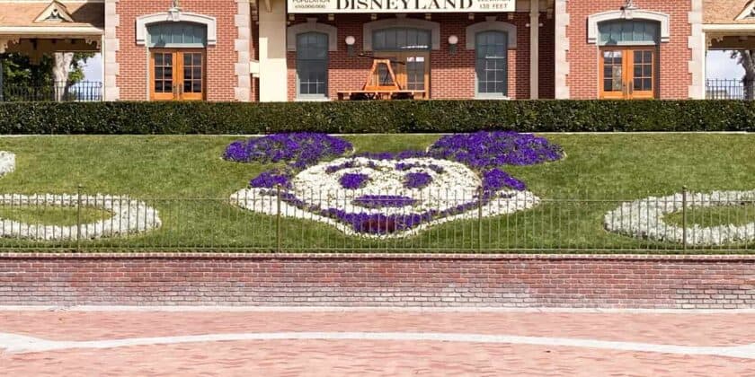 Disneyland Resort Early Entry