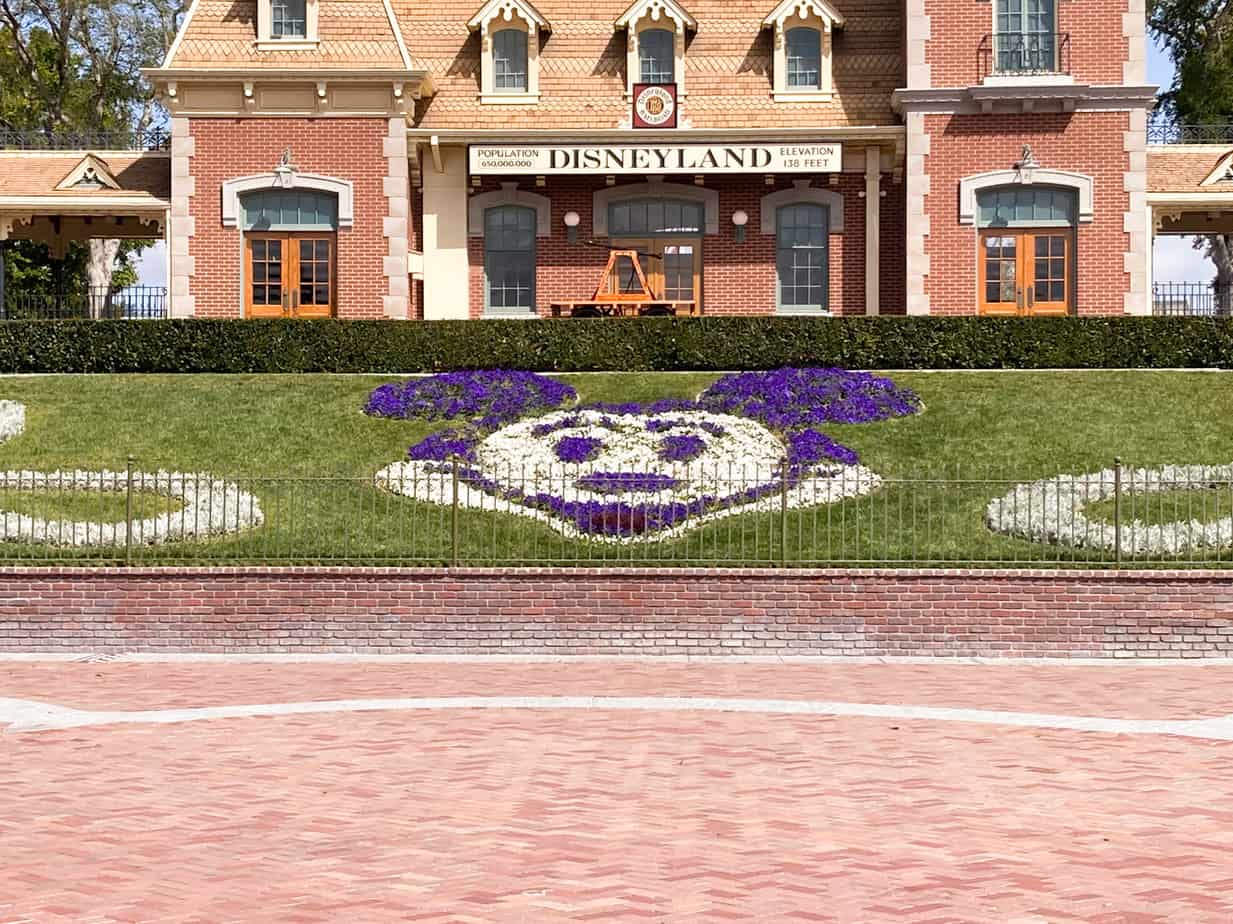 Disneyland entry Mickey Mouse floral