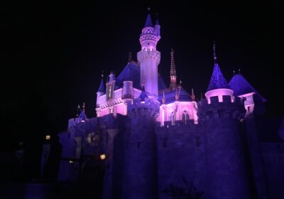 Sleeping Beauty Castle After Dark