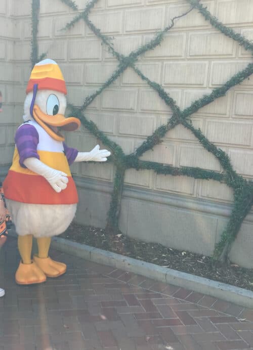 Donald duck dressed as candy corn