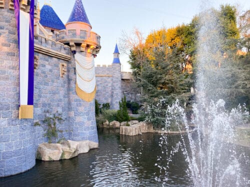 Castle fountain Disney100