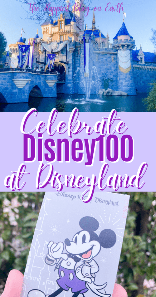 Disney100 Disneyland Pin