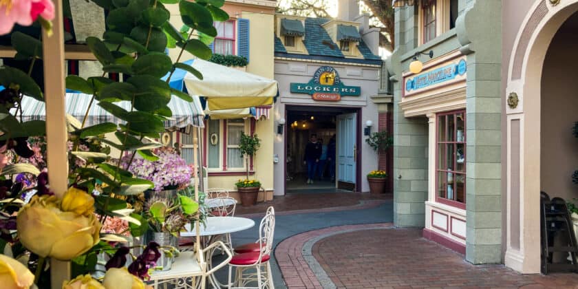 Essential Guide to Disneyland Lockers