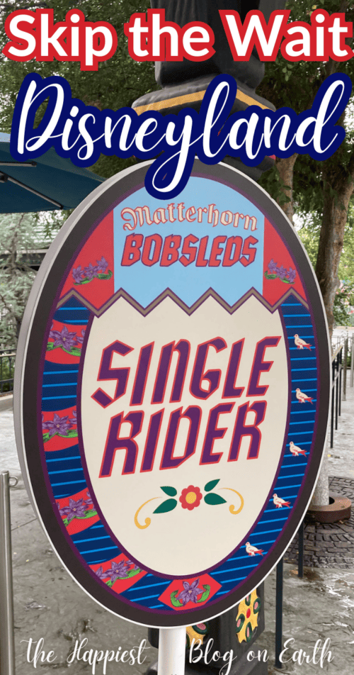 Disneyland Single Rider Line