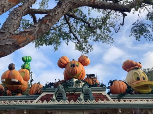 Halloween Disneyland Entry Halloween Disneyland Entry