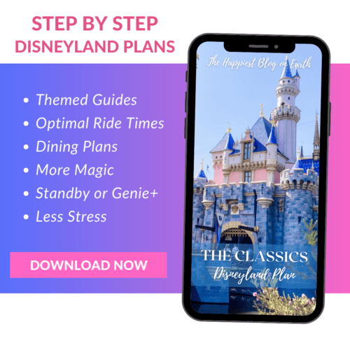 Disneyland Plan Graphics