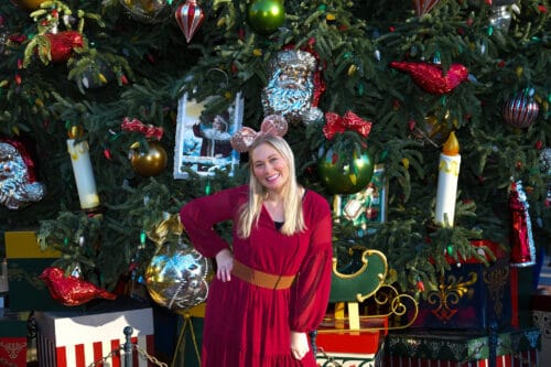Jessica Holidays Disneyland Tree