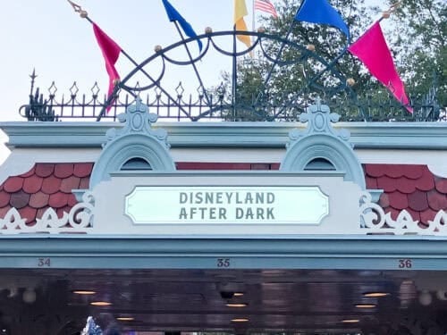 After Dark Entrance Disneyland
