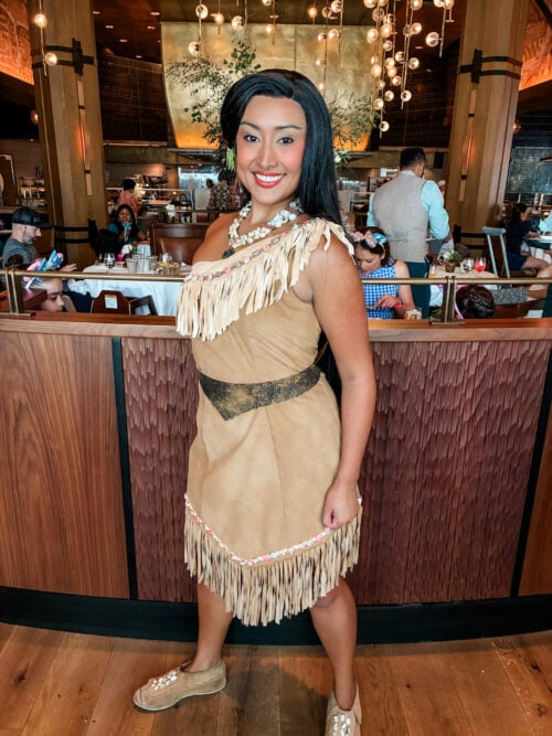 Disney Princess Pocahontas Disney Princess Pocahontas