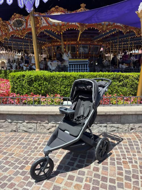 Disneyland stroller rentals Disneyland stroller rentals