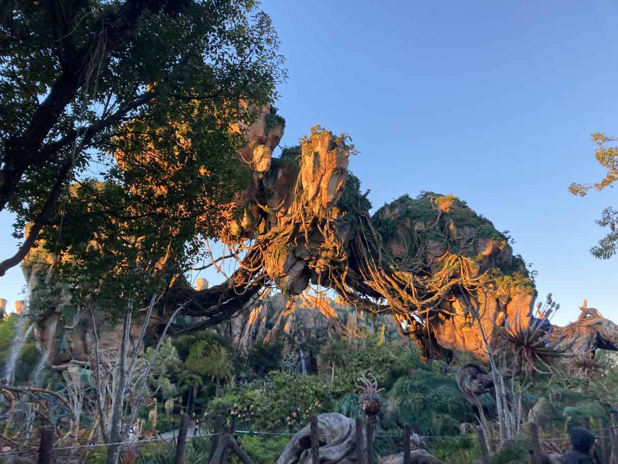 News! Disneyland's Avatar at California Adventure