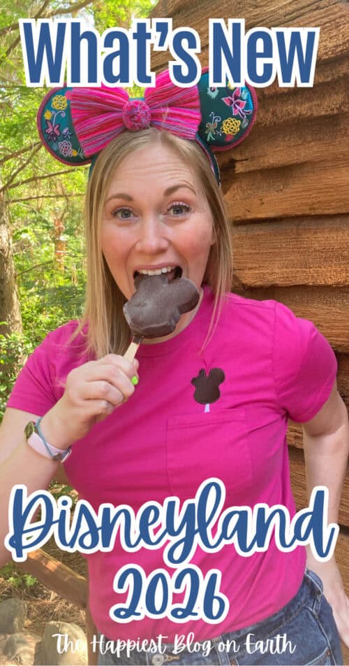 What's New at Disneyland This Year