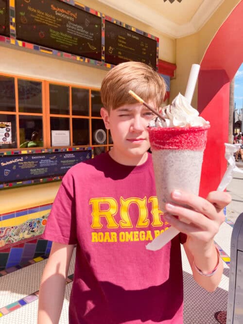 disney obb food
