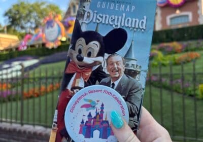 Disneyland 70th Anniversary Day