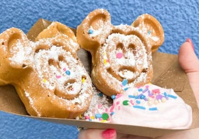 Disneyland’s