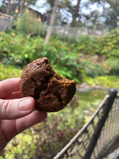 Pumpkin Cookies Disneyland Pumpkin Cookies Disneyland