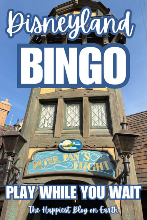 Disneyland Bingo Play While You Wait Disneyland Bingo Play While You Wait