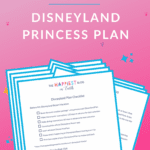 Disneyland Princess Plan