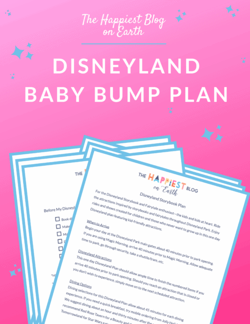 Disneyland Baby Bump Plan Cover